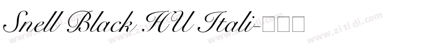 Snell Black HU Itali字体转换